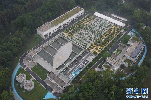 聚焦高质量发展 重庆链接全球资源，打造创新强磁场，释放金州云创新力